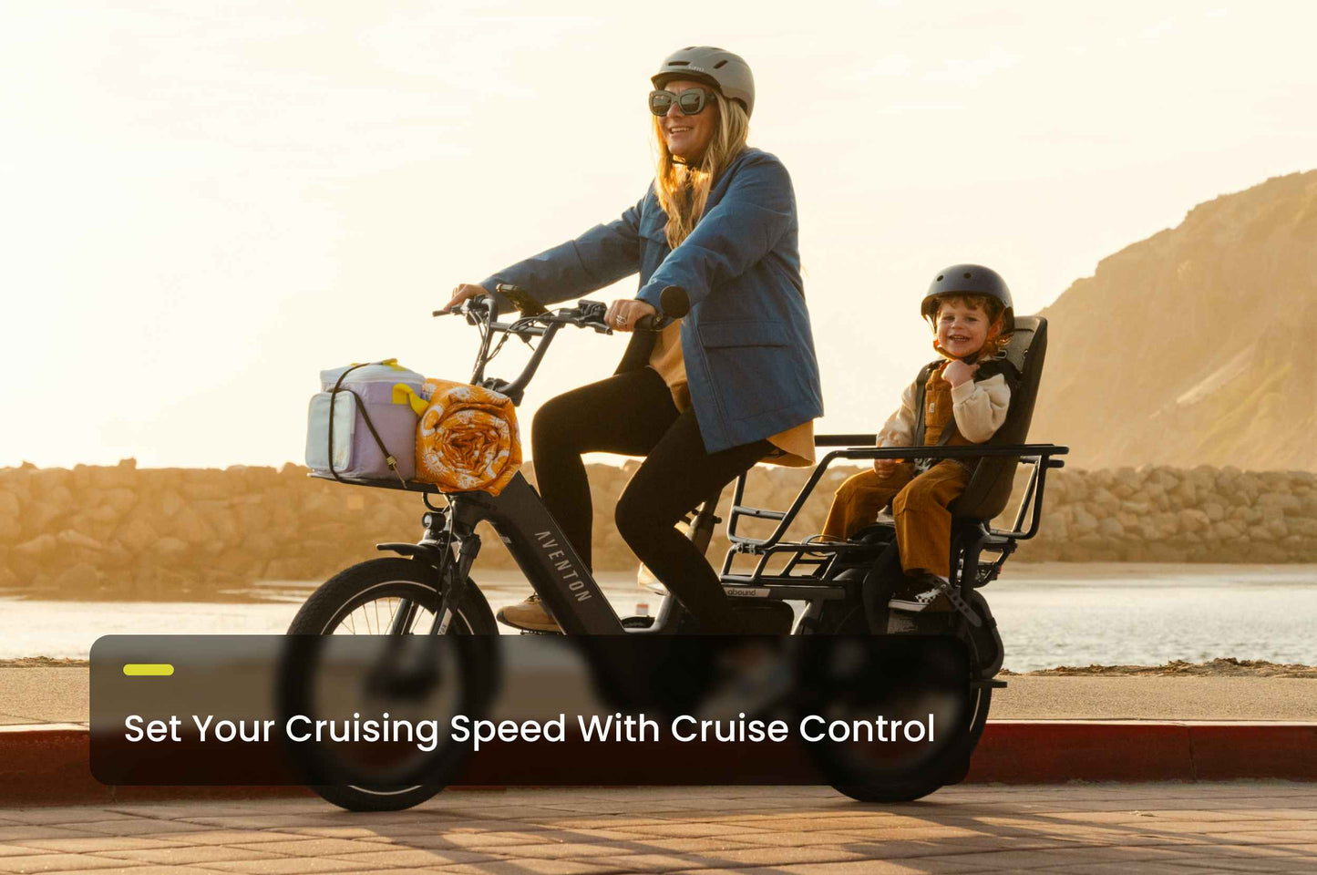 Avento Abound LR Cargo E-Bike