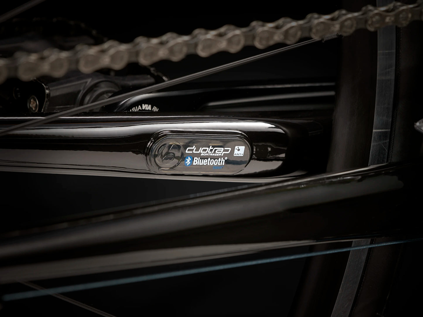 Trek Domane AL 2 Rim
