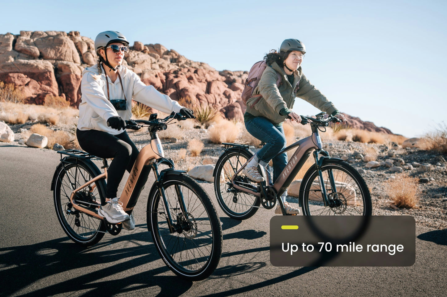 Level 3 Step Through Ebike