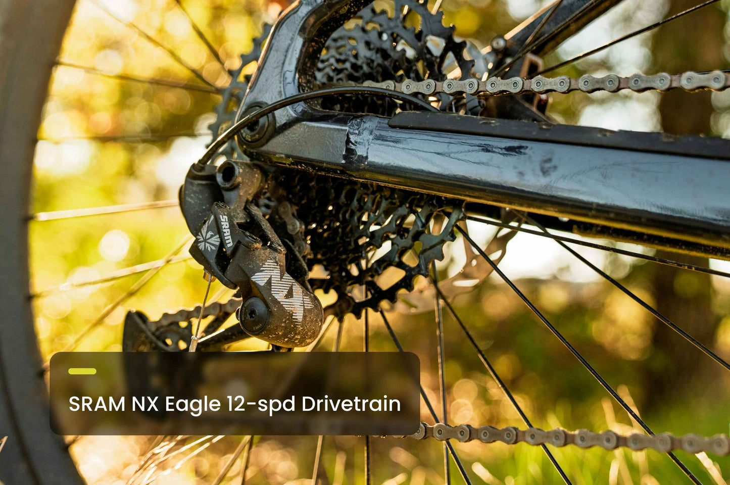 Aventon Ramblas ADV Ebike (In Store Pickup Only)