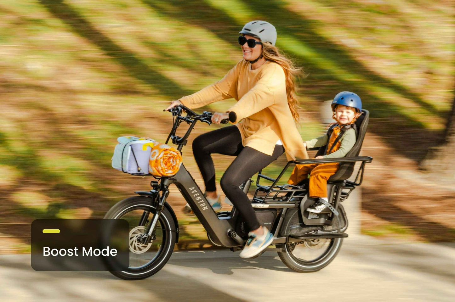 Avento Abound LR Cargo E-Bike