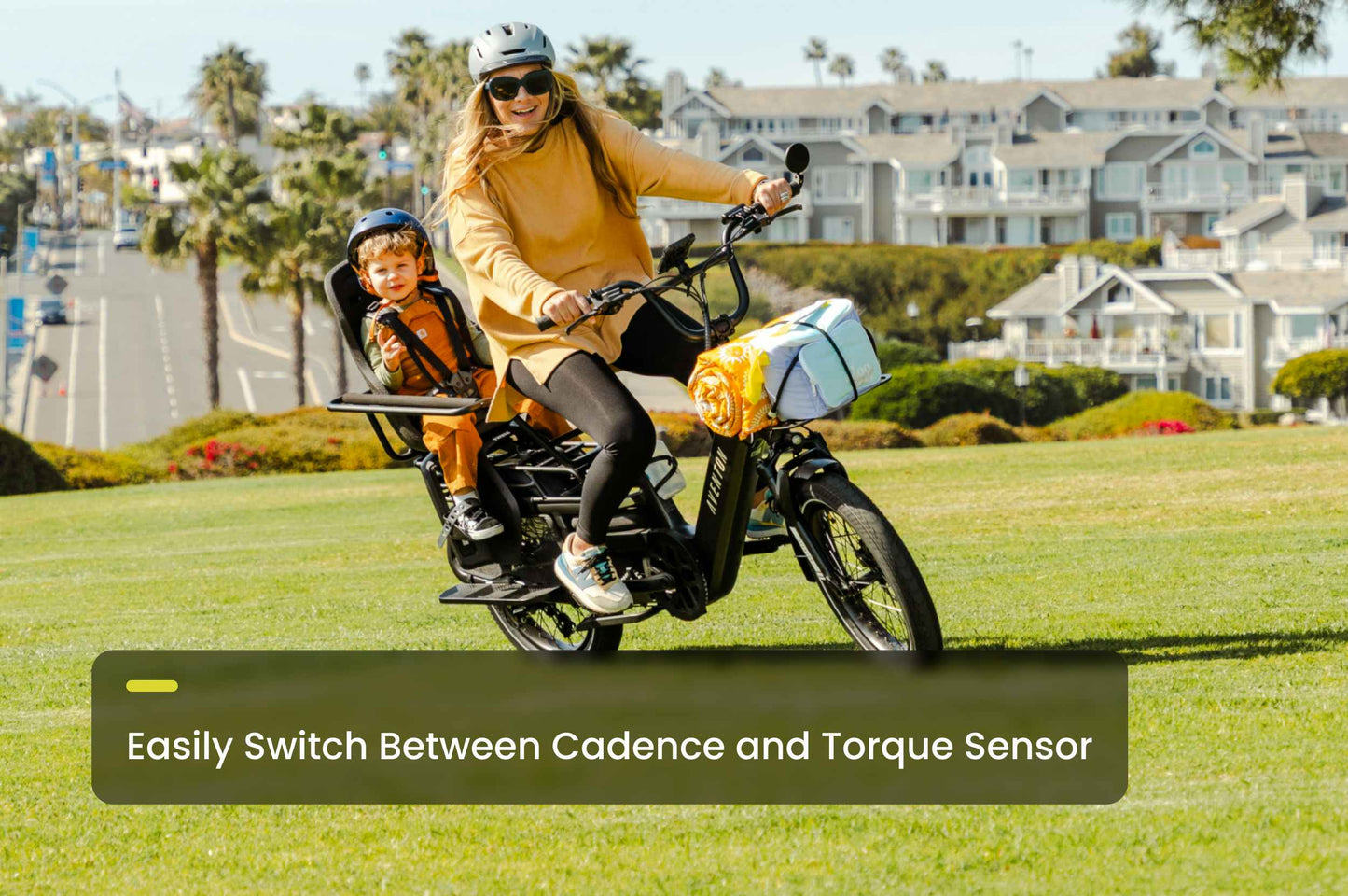 Avento Abound LR Cargo E-Bike